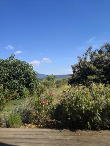Villa Spacieuse Avec Terrasse Et Vue Mont Ventoux Entrechaux Екстер'єр фото