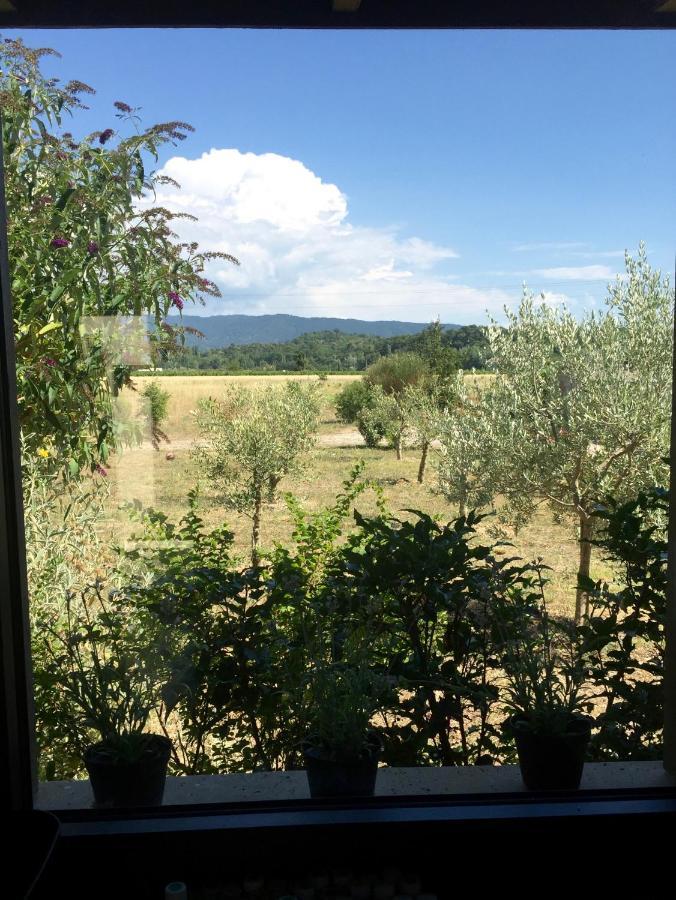 Villa Spacieuse Avec Terrasse Et Vue Mont Ventoux Entrechaux Екстер'єр фото
