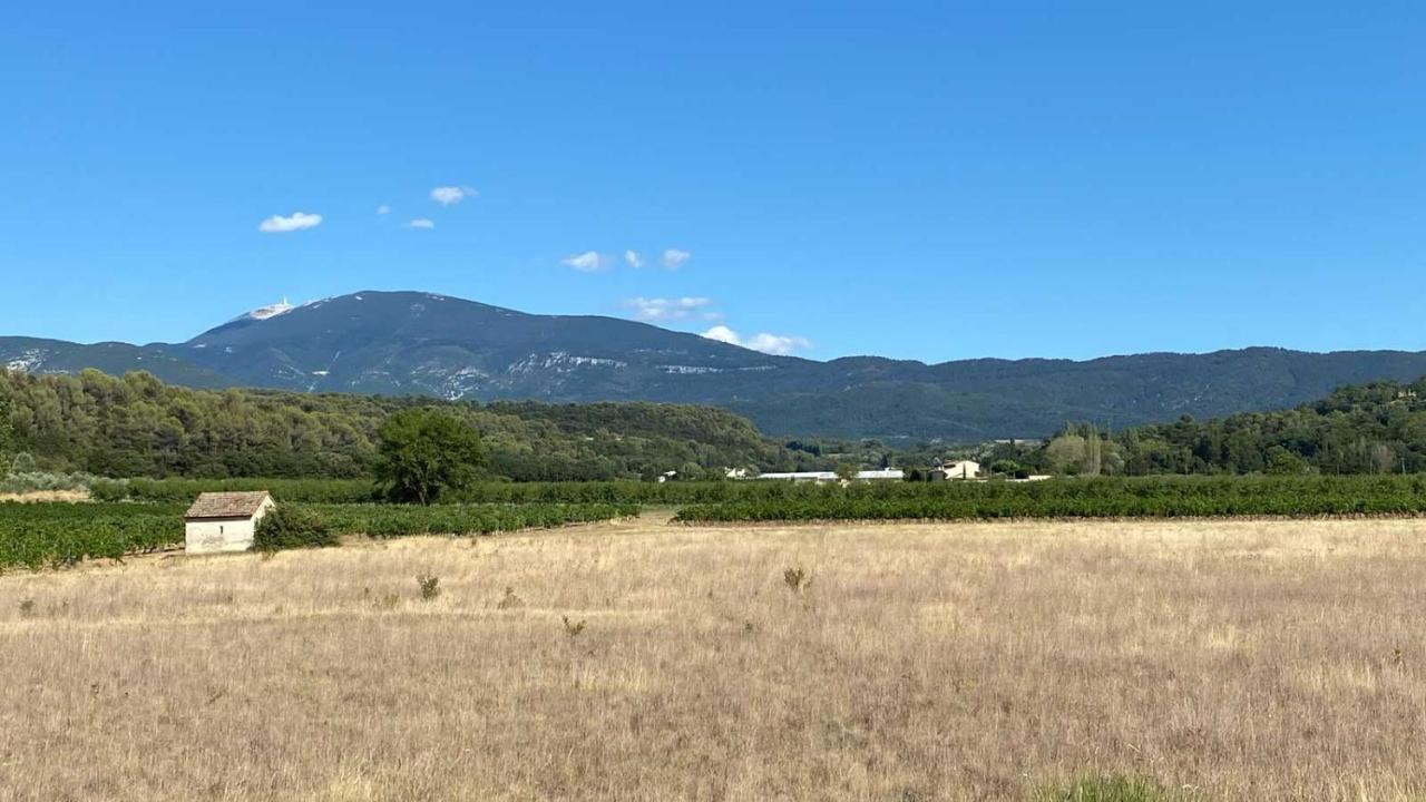 Villa Spacieuse Avec Terrasse Et Vue Mont Ventoux Entrechaux Екстер'єр фото